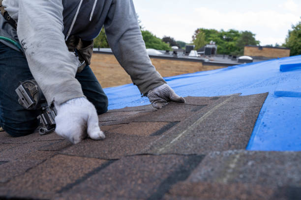 Quick and Trustworthy Emergency Roof Repair Services in Pioche, NV