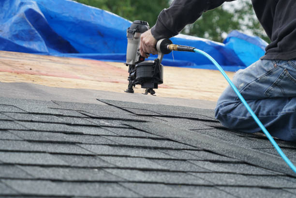 Best Roof Gutter Cleaning  in Pioche, NV